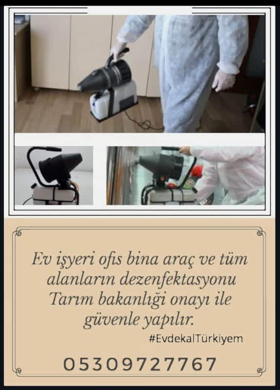 dezenfeksiyon